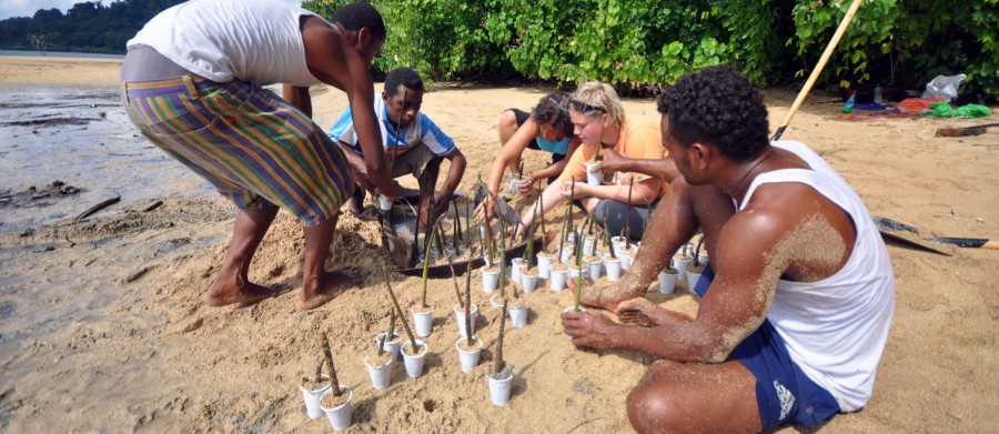 Coral Gardening team in Fiji