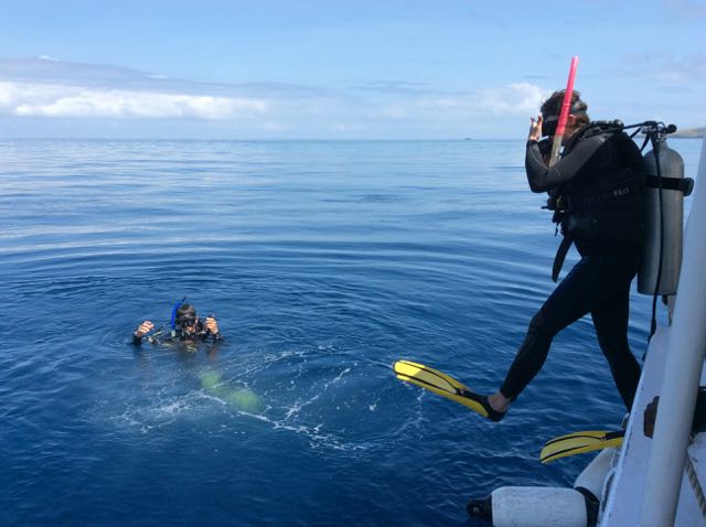 Diving Rainbow Reef Island Spirit, Taveuni Fiji