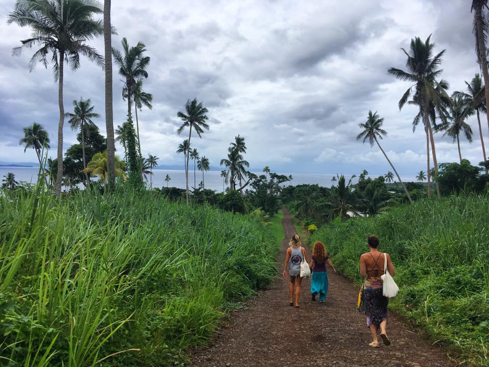 Jungle walks taveuni waterfalls fiji island spirit