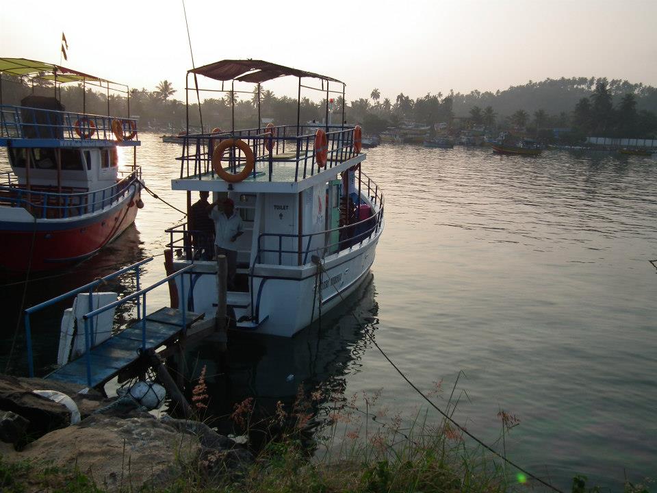 The Sri Lankan Sperm Whale watching eco tour - leaving early hours of the morning