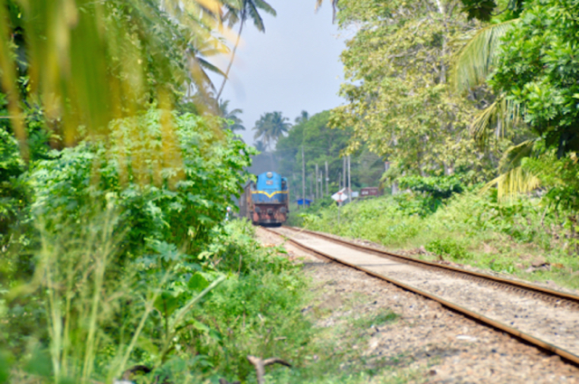 Trains Sri Lanka Island Spirit getting there