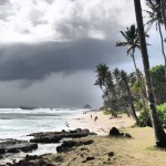 Sri Lanka, Island Spirit, Coconut beach, Medigama