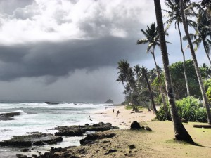 Sri Lanka, Island Spirit, Coconut beach, Medigama