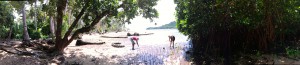 mangroves island spirit fiji