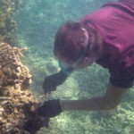 kirsty coral gardening squid