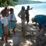 Clams and cucumbers in Fiji key in averting further coral calamities