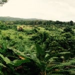 Vanuatu recce trip 2015 adventure