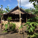 Vanuatu culture island spirit