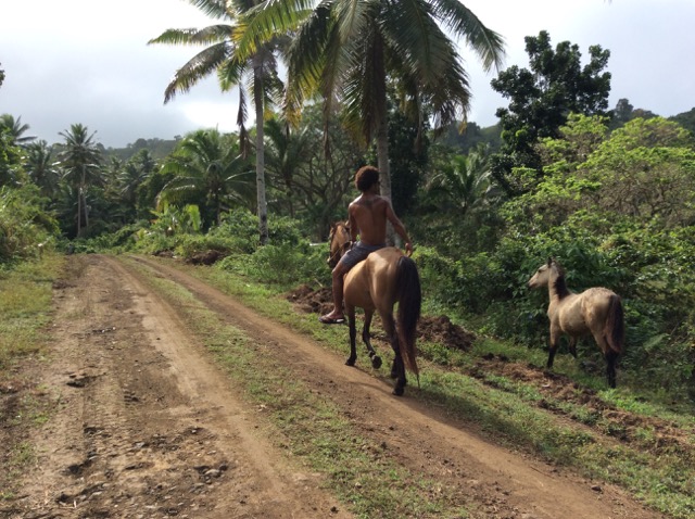 horse riding fiji island spirit