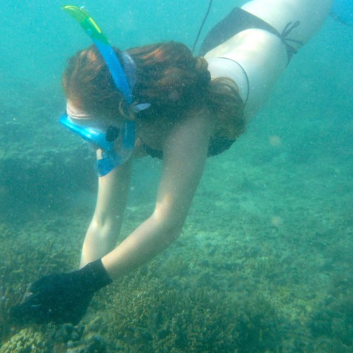 Island Spirit Responsible travel fiji coral gardening. Mermaiding