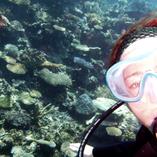 Snorkeling on health reefs Fiji