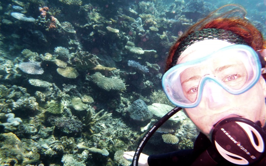 Snorkeling on health reefs Fiji