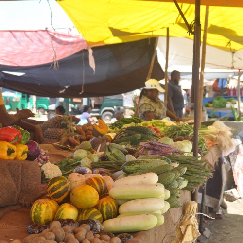 Fijian market as UN General Assembly focuses on Covid and Climate Change