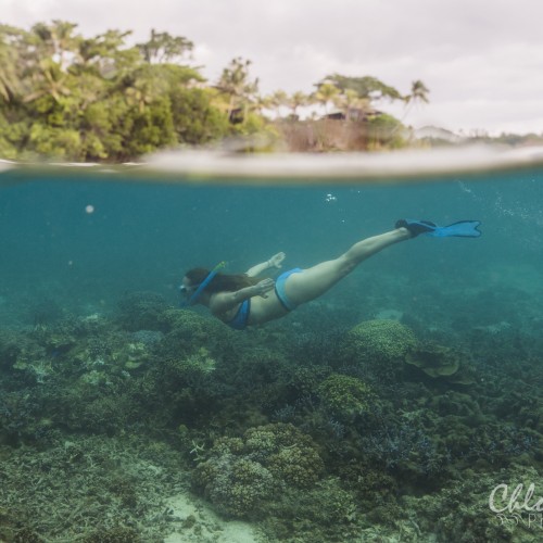 Coral Gardening Island Spirit Volunteering Fiji