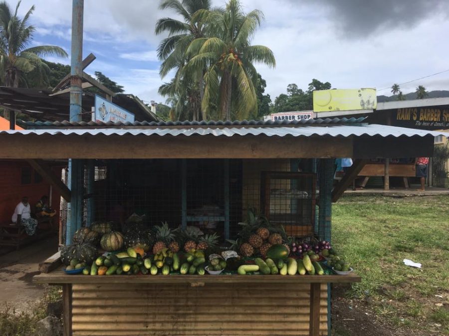 Fresh fruit stall, Taveuni, Fiji