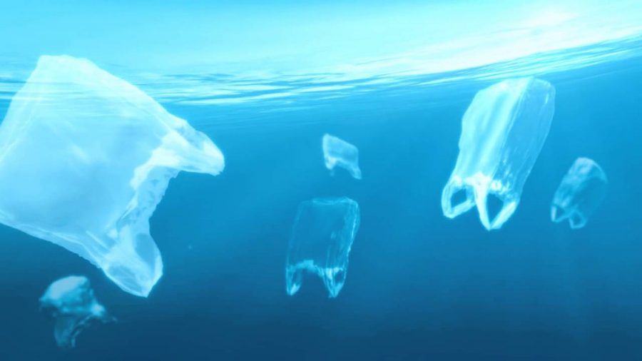 plastic bag pollutes oceans