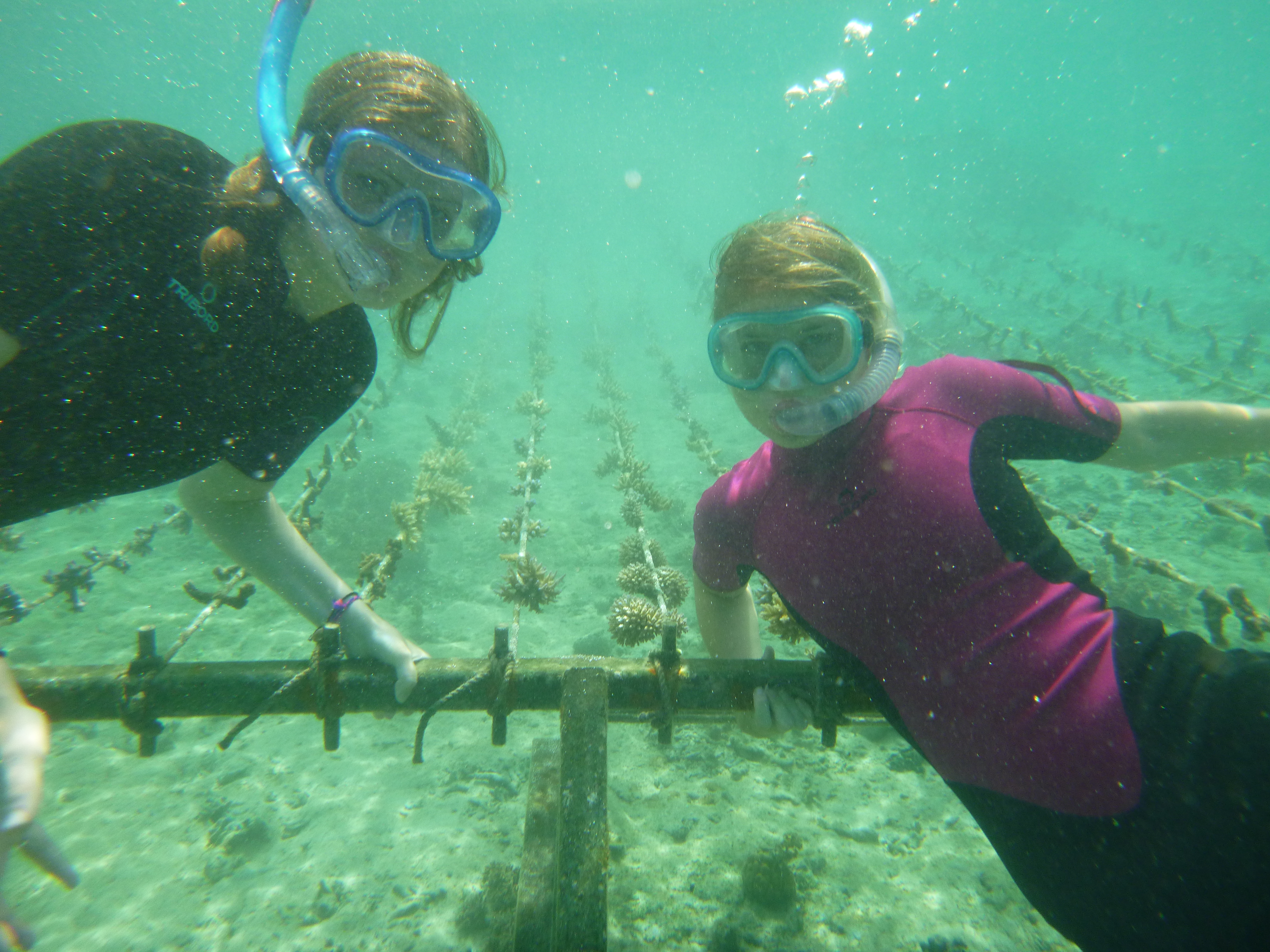 June coral gardening trip 2017 Fiji