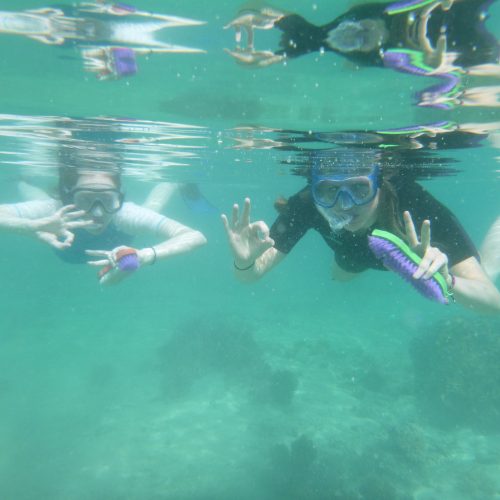 coral gardening Fijian coral reefs