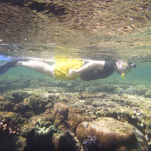 May Coral Gardening May Island Spirit Fiji