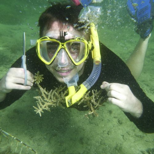 May Coral Gardening Fiji Island Spirit