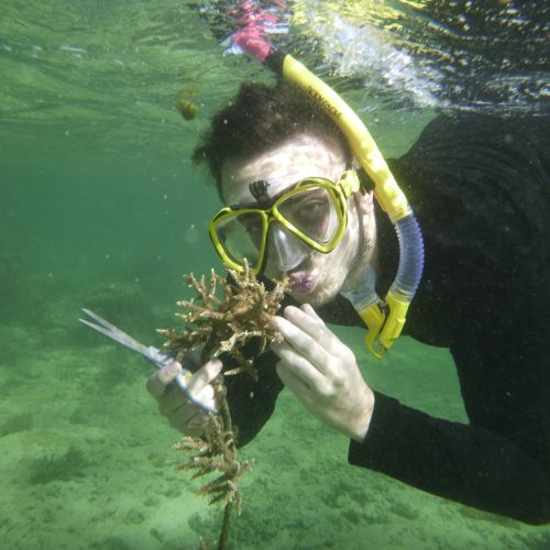 June coral gardening trip 2017 Fiji Island spirit