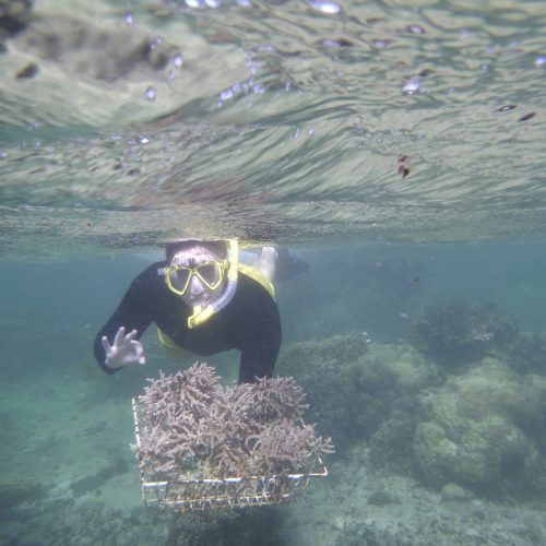 June coral gardening trip 2017 Fiji Island spirit