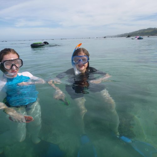 June coral gardening trip 2017 Fiji Island spirit