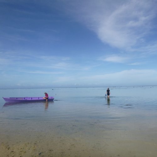 June coral gardening trip 2017 Fiji Island spirit