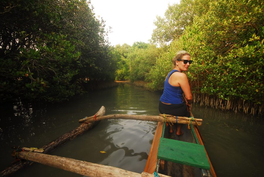 Responsible travel week 2018 Mangroves Island Spirit Sri Lanka