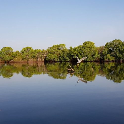 Kottuka Lagoon Pottuvil in SriLanka