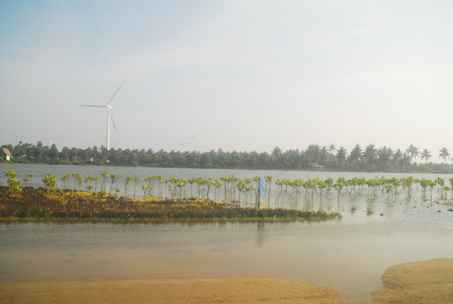 mangrove reforestation project Kalpitiya Sri Lanka