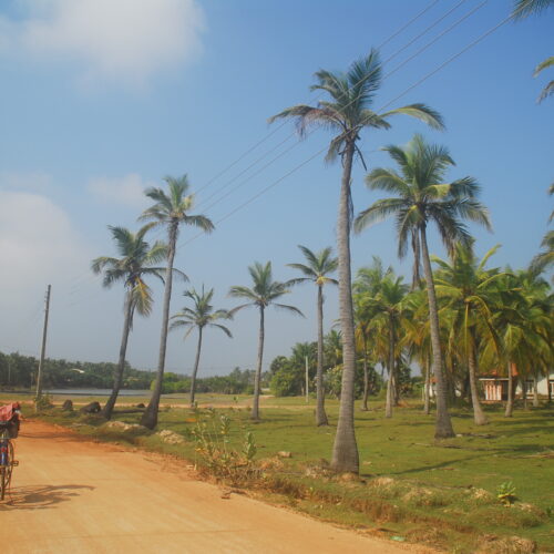 Cycling Kalpitiya Sri Lanka