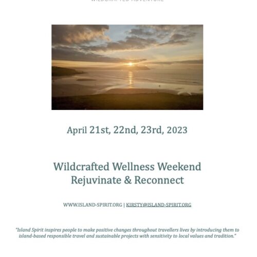 Wellness Weekend Leaflet